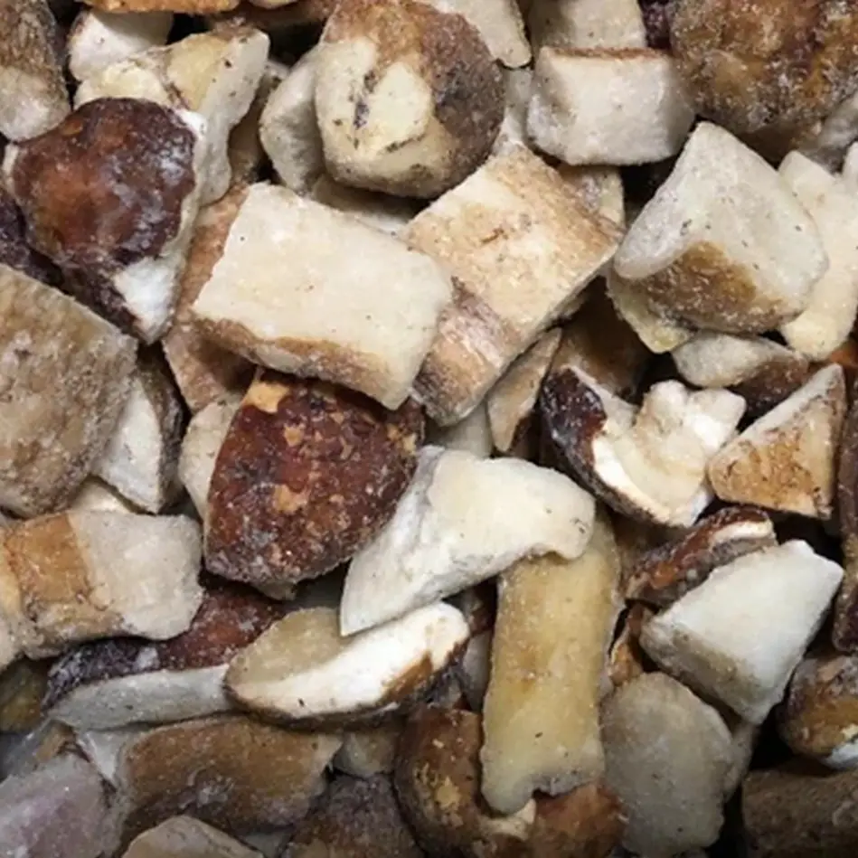 Porcini / Boletus / Cep IQF cubes